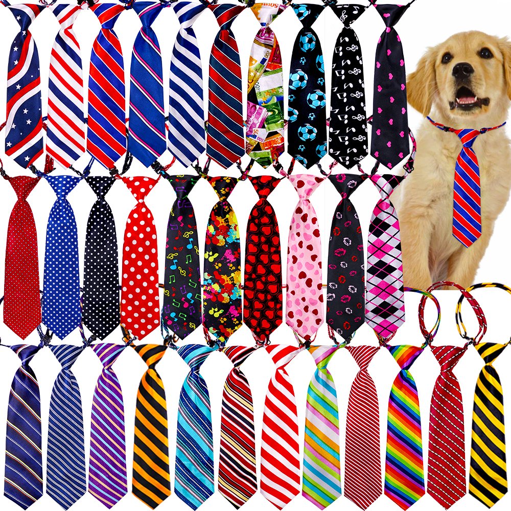 Accessoires pour Animaux de Compagnie