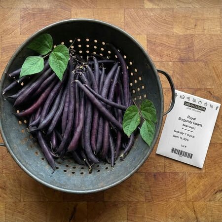 Organic Foods