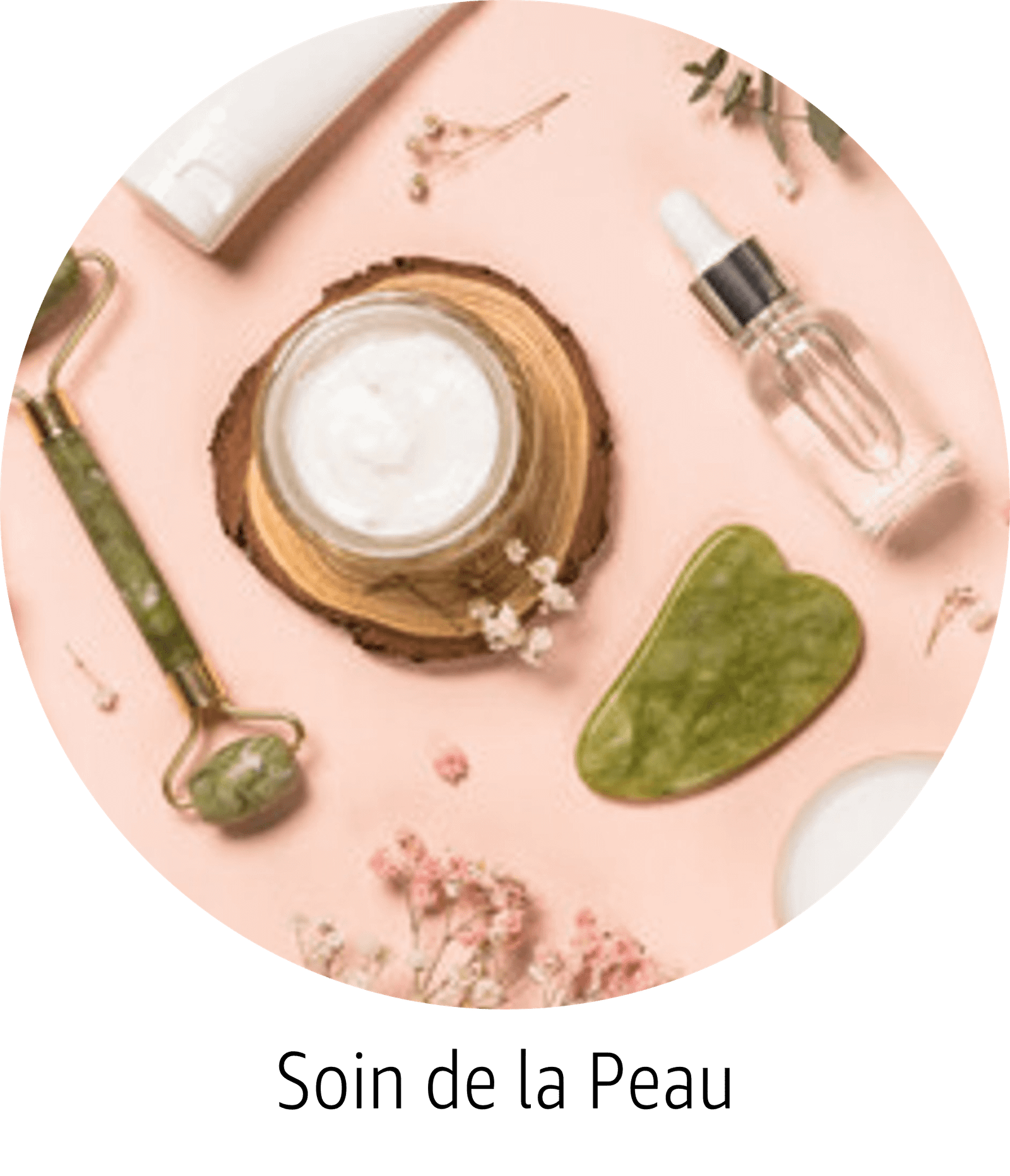 Beauté et Parfum