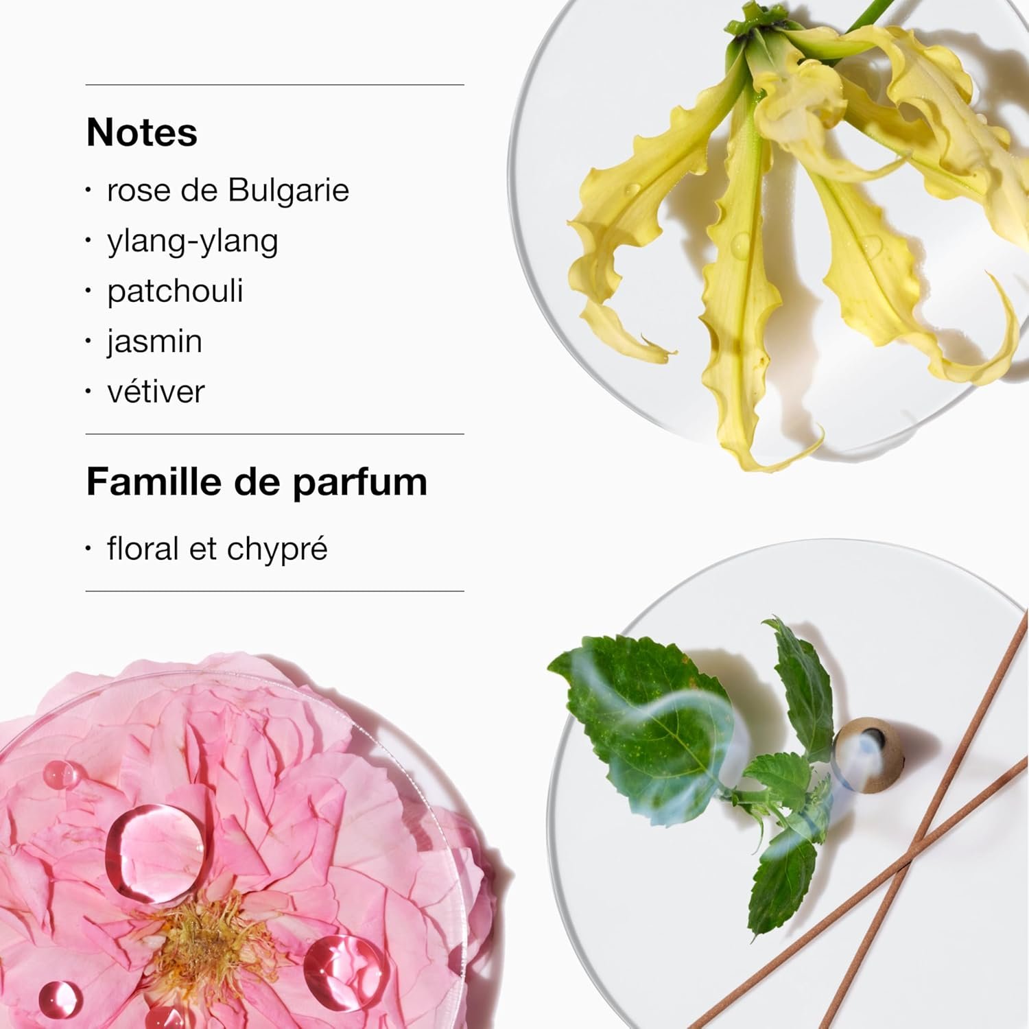 Clinique Parfums pour Femme