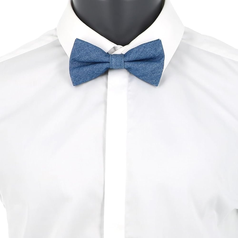 Coton / Cravates Et Nœuds Papillon Fantai... : Mode