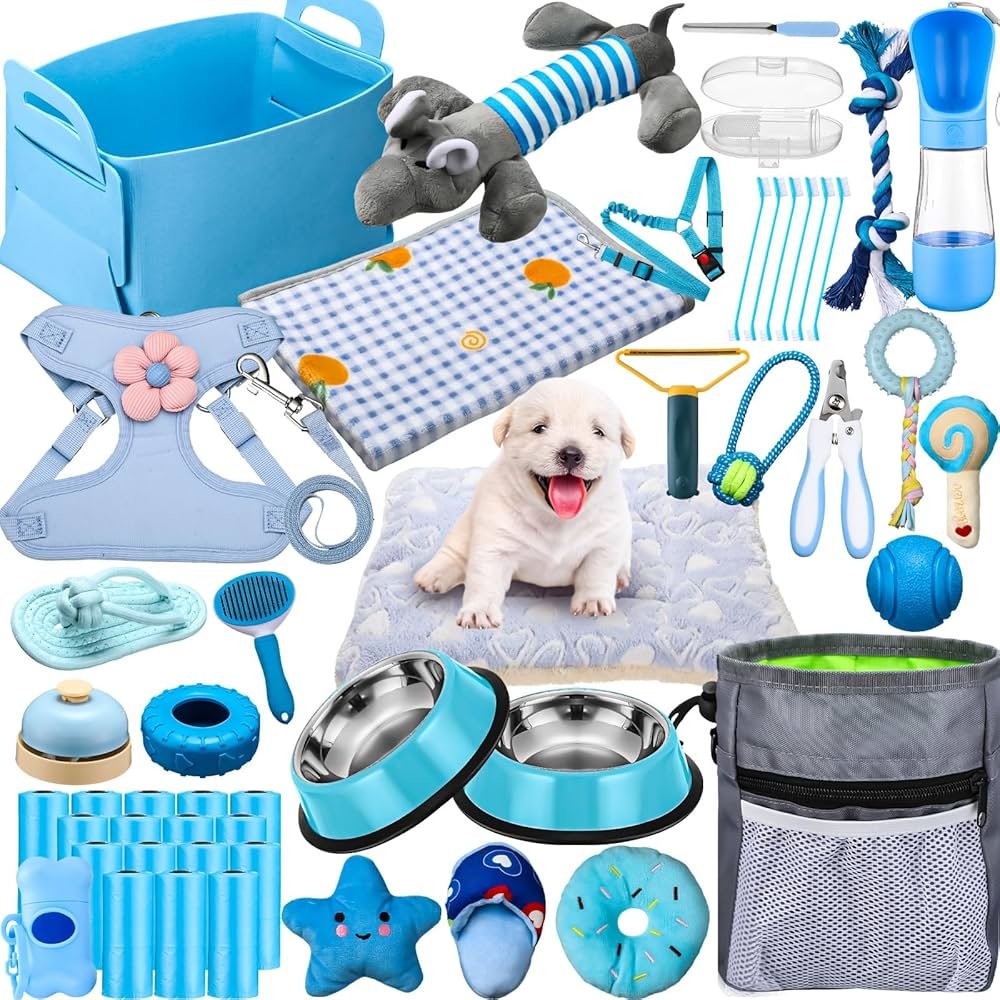 Dogs: Pet Supplies