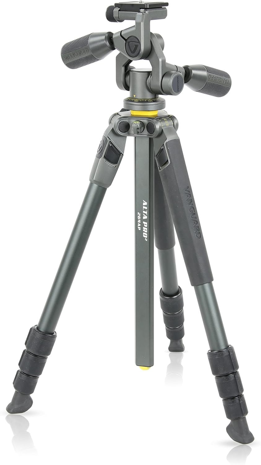 Elegant Appareils photo numériques - 264€ v2