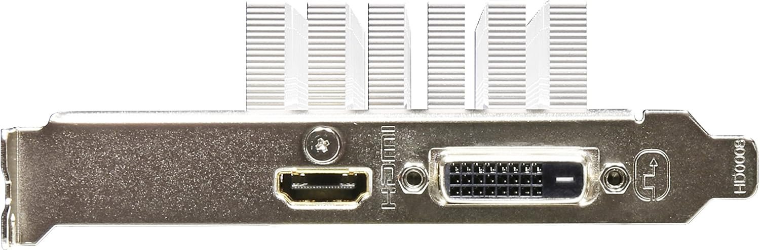 GIGABYTE GeForce GT 1030 Silent 2GB Carte Graphique