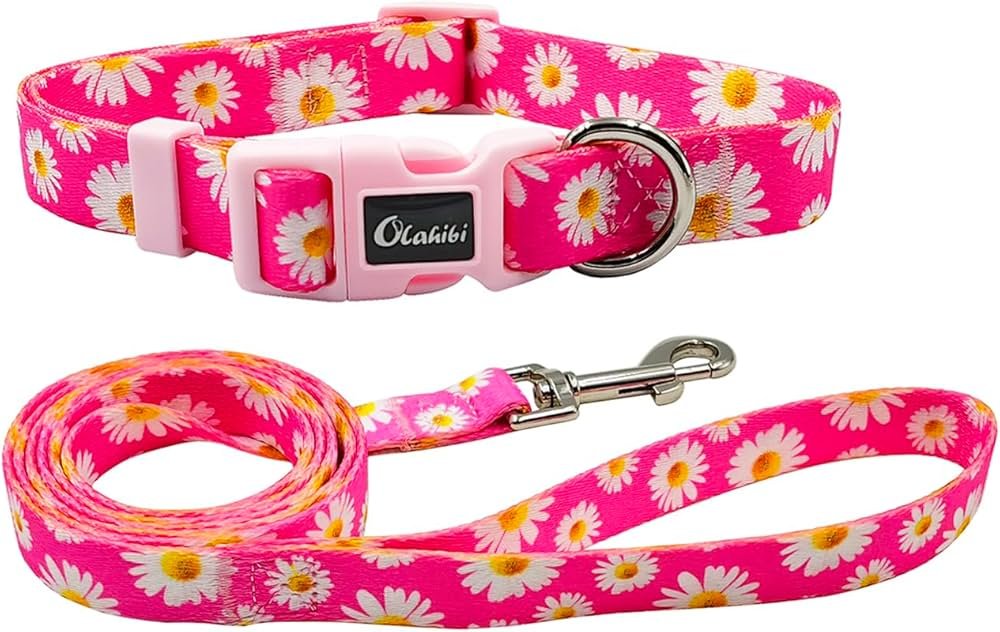 Olahibi Daisy Dog Collar and Lead Set - 150 cm