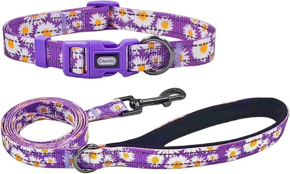Olahibi Daisy Dog Collar and Lead Set - 150 cm