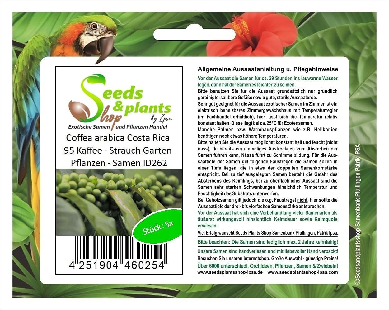 Seeds Plants Premium Noir