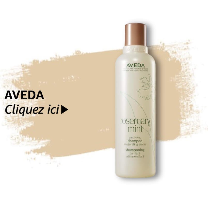 Shampooings et soins : Beauté et Parfum