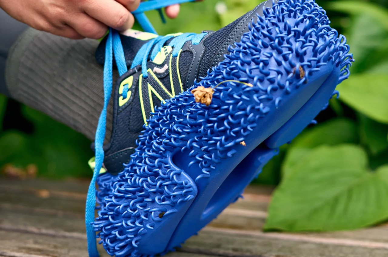 Shoes being called plants or seeds