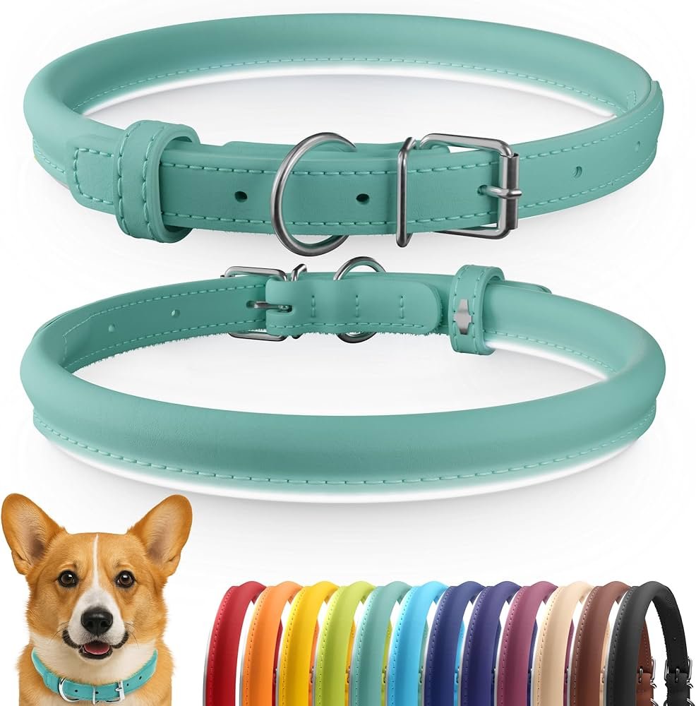 Colliers et Laisses en Cuir pour Chiens